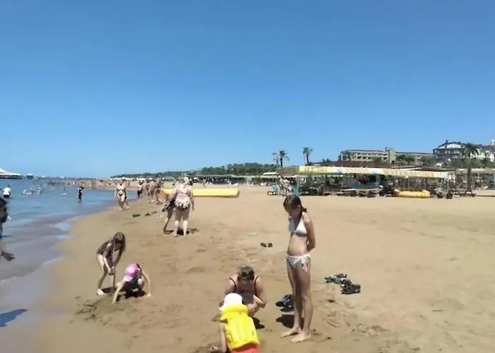 Palladium فيلة *