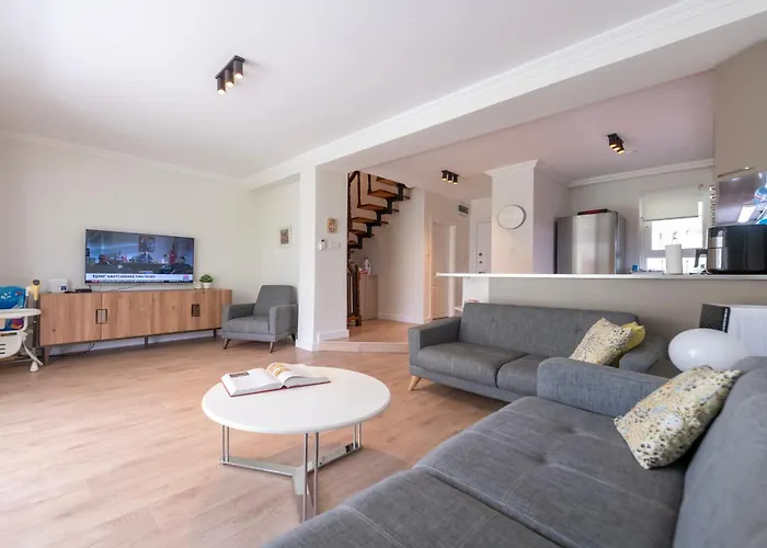 Palladium فيلة *