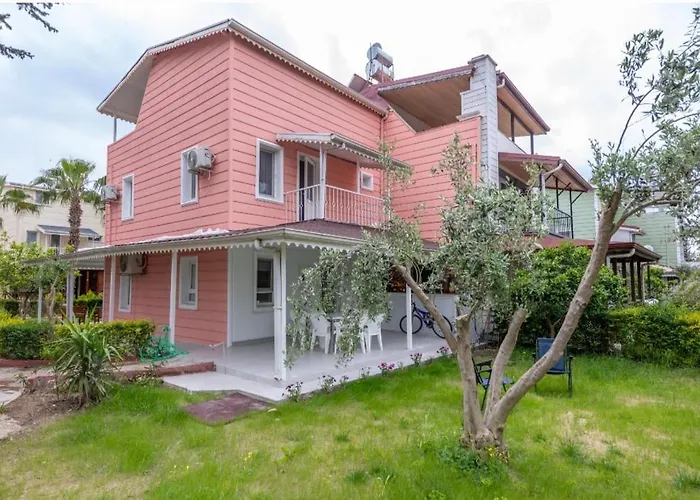 Palladium فيلة *